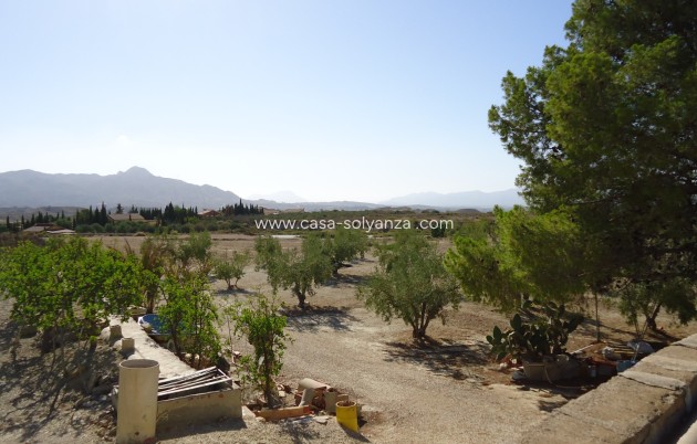 Reventa - Land - Abanilla - Inland