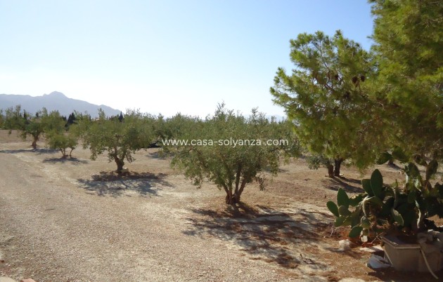 Reventa - Land - Abanilla - Inland