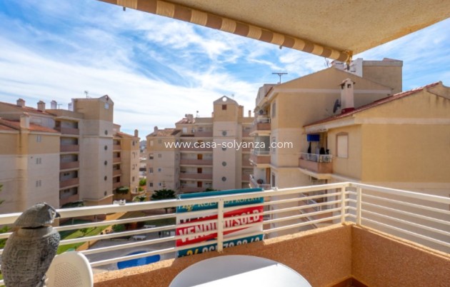 Herverkoop - Appartement / flat - Torrevieja - Costa Blanca