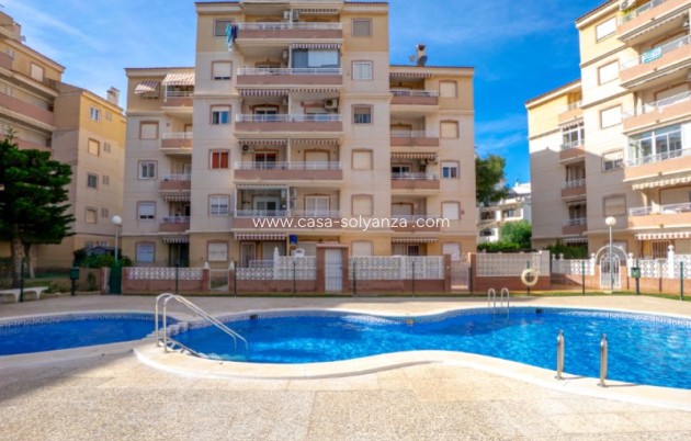 Herverkoop - Appartement / flat - Torrevieja - Costa Blanca