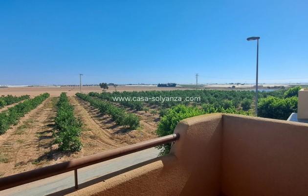 Resale - Townhouse - Dolores de Pacheco - Inland