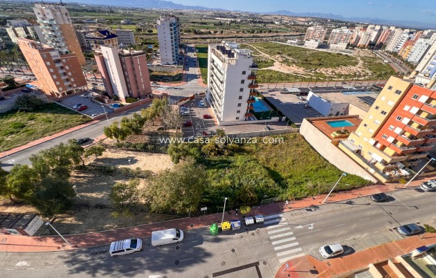 Herverkoop - Land - Guardamar del Segura - Guardamar