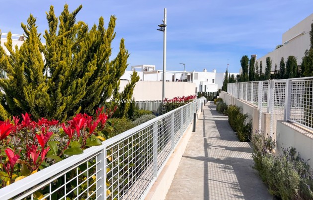Herverkoop - Appartement / flat - Torrevieja - Los Balcones