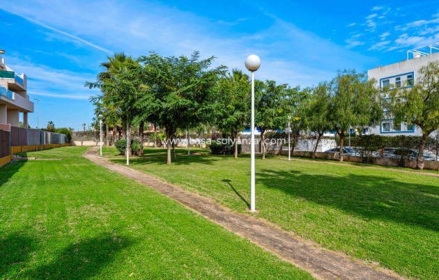 Herverkoop - Appartement / flat - Orihuela Costa - Playa Flamenca