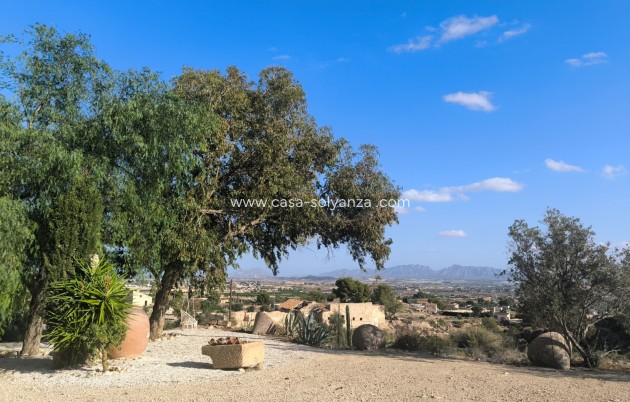 Revente - Finca - Country Property - Fortuna