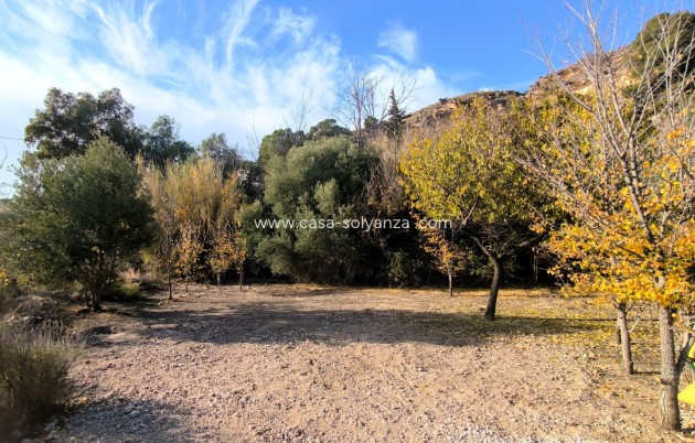 Revente - Finca - Country Property - Fortuna