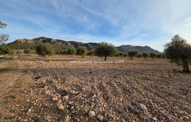 Herverkoop - Land - Jumilla