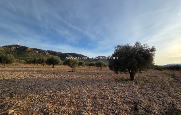 Herverkoop - Land - Jumilla