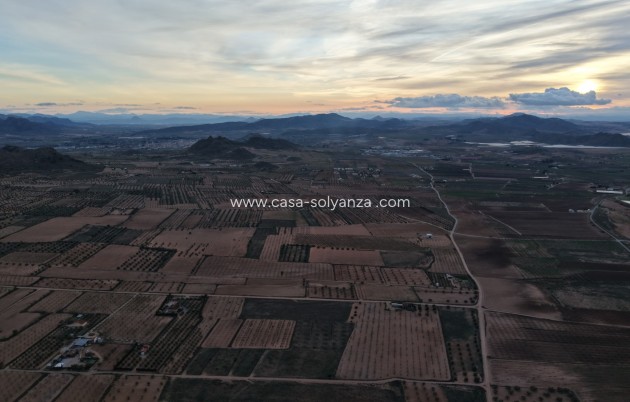 Herverkoop - Land - Jumilla