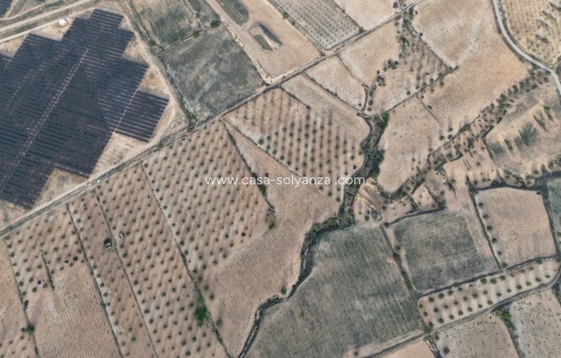 Herverkoop - Land - Jumilla