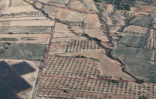 Herverkoop - Land - Jumilla