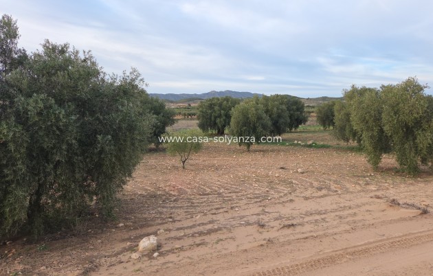 Herverkoop - Land - Jumilla