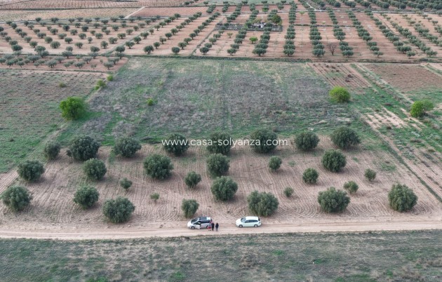 Herverkoop - Land - Jumilla