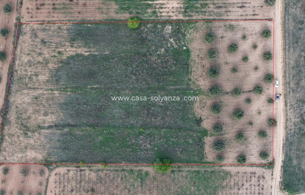 Herverkoop - Land - Jumilla