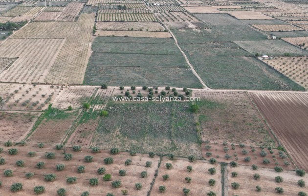 Herverkoop - Land - Jumilla