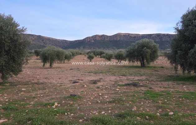 Herverkoop - Land - Jumilla