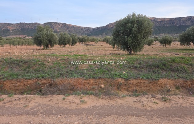 Herverkoop - Land - Jumilla