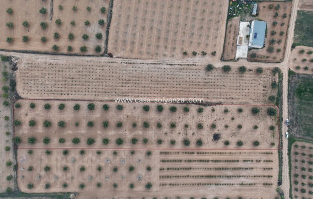 Herverkoop - Land - Jumilla