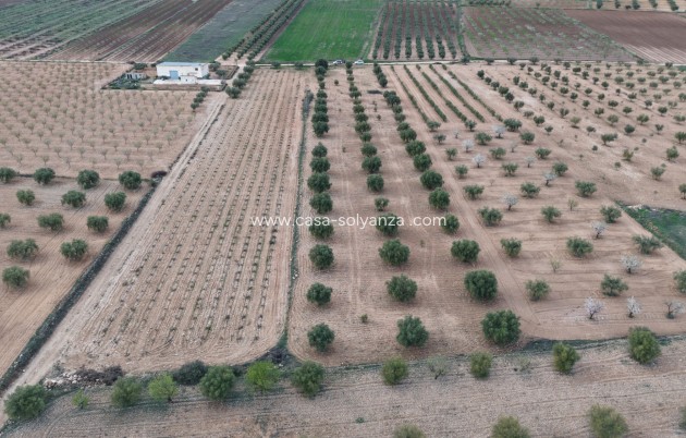 Herverkoop - Land - Jumilla