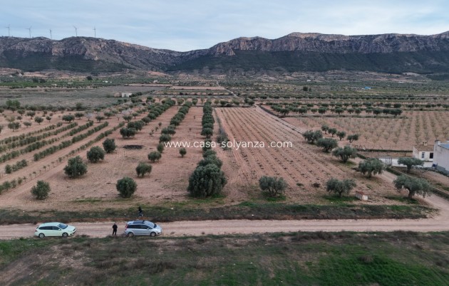 Herverkoop - Land - Jumilla
