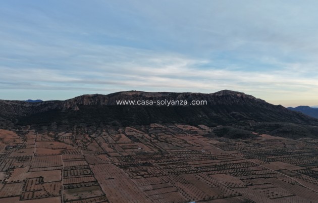 Herverkoop - Land - Jumilla