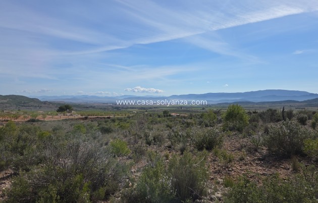 Herverkoop - Land - Yecla