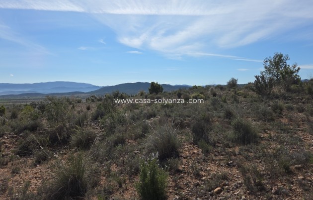 Herverkoop - Land - Yecla