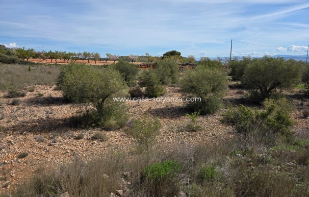 Herverkoop - Land - Yecla