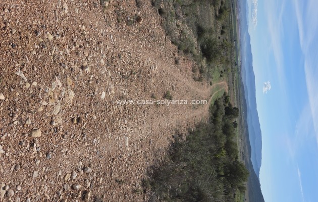 Herverkoop - Land - Yecla