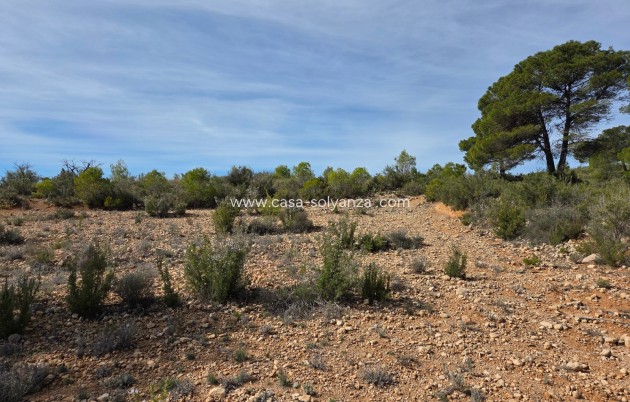 Herverkoop - Land - Yecla