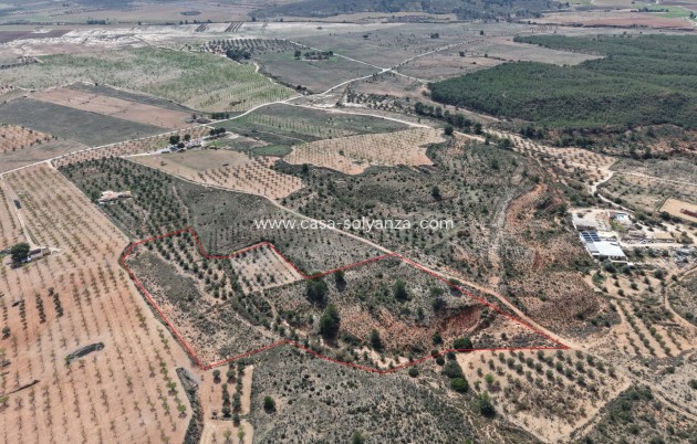 Herverkoop - Land - Yecla