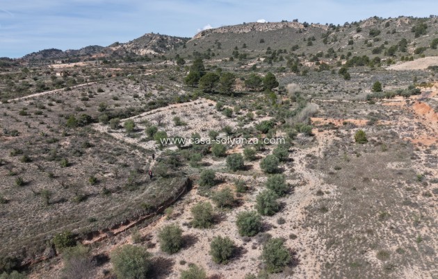Herverkoop - Land - Yecla