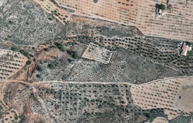 Herverkoop - Land - Yecla