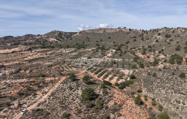 Herverkoop - Land - Yecla