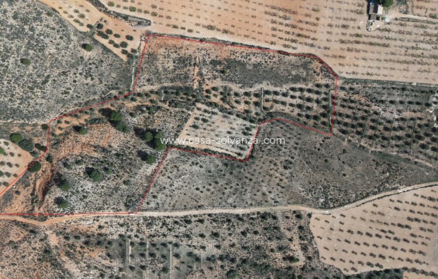 Herverkoop - Land - Yecla