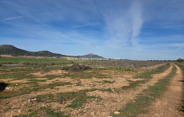 Herverkoop - Land - Yecla