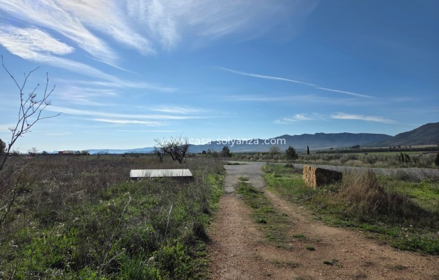 Herverkoop - Land - Yecla