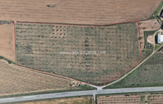 Herverkoop - Land - Yecla