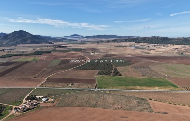 Herverkoop - Land - Yecla