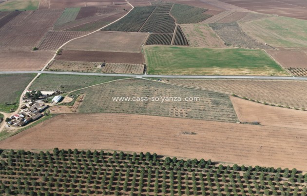 Herverkoop - Land - Yecla