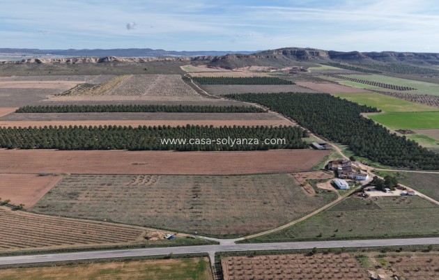 Herverkoop - Land - Yecla