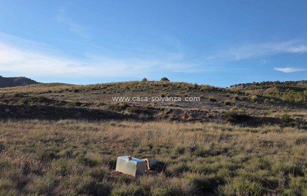 Herverkoop - Land - Yecla