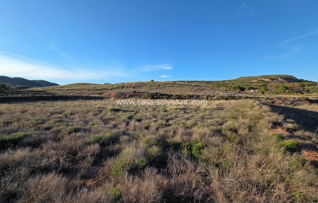 Herverkoop - Land - Yecla