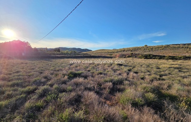 Herverkoop - Land - Yecla