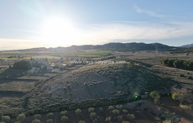 Herverkoop - Land - Yecla