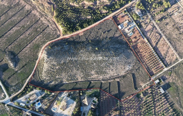 Herverkoop - Land - Yecla