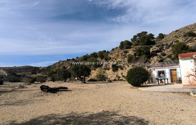 Resale - Country Property/Finca - Fortuna - Inland