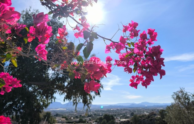 Resale - Country Property/Finca - Fortuna - Inland