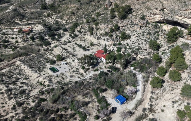 Resale - Country Property/Finca - Fortuna - Inland