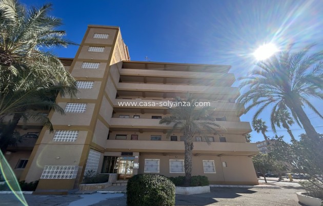 Herverkoop - Appartement / flat - Guardamar del Segura - Costa Blanca
